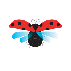 Ladybug fly object isolated art design stock vector illustration for web, for print, for fabric print