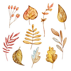 Watercolor set of cozy autumn, cute elements