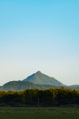 Fototapeta premium mountain in summer evening with sun light shed on the peak of the mountain