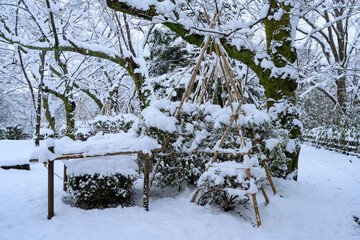 湿った重い雪の積もる庭園