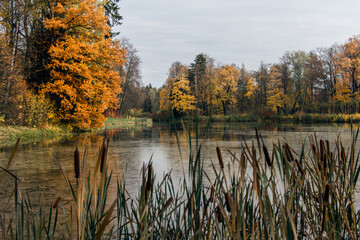 Fototapeta na wymiar Lake in autumn park, in Pavlovsk park
