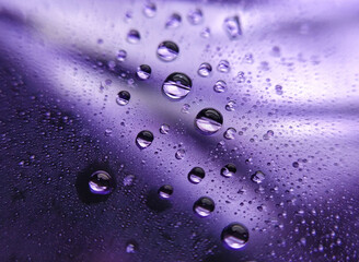 Droplets on purple glass floor 