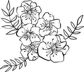 Black and white bouquet flowers and leaves. Doodle floral illustration. Vector illustration.