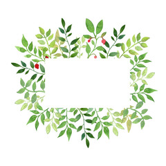 Watercolor hand drawn rectangular frame with green leaves and wigs and red berries on the white background. Perfect for invitations and cards.