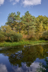 Fototapeta na wymiar Beautiful view of the river on a bright sunny autumn day. Sluch .Belarus