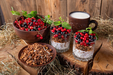 Fresh berries in earthenware. Berries, milk and granola on stumps and hay. Country style breakfast.