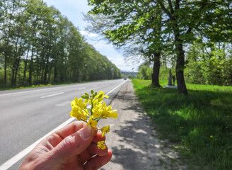 hand holding a flower