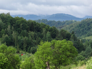 hiking in the mountains