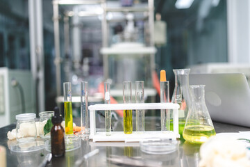 medical scientist with cannabis hemp research in medicine laboratory to make a herbal extract CBD chemical oil or alternative drug from marijuana leaf plant, organic nature herb in science test