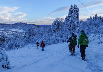 group of people walking in the snow