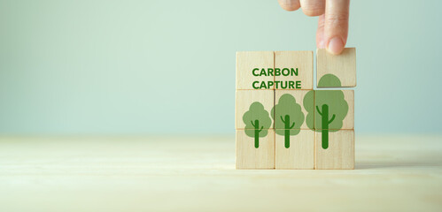 Carbon capture and storage concept. Cabon offset and reducing co2 target. Net carbon footprint...