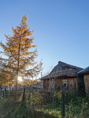 old wooden house in autumn