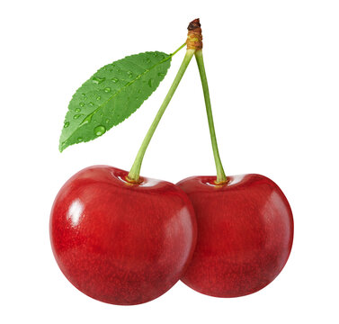 two fresh cherries with stem and leaf