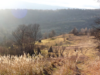misty morning in the mountains