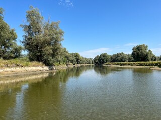 Fototapeta premium Lake Veliki Sakadas and floodplain forests, Kopacki rit Nature Park - Kopacevo, Croatia (Jezero Veliki Sakadaš i poplavne šume, Park prirode Kopački rit - Kopačevo, Hrvatska)