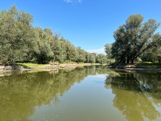 Obraz premium Lake Veliki Sakadas and floodplain forests, Kopacki rit Nature Park - Kopacevo, Croatia (Jezero Veliki Sakadaš i poplavne šume, Park prirode Kopački rit - Kopačevo, Hrvatska)