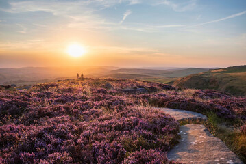 Absolutely beautiful sunset landscape image unidentified young couple looking from Higger Tor in Peak District across to Hope Vally in late Summer with heather in full purple bloom - 526454153