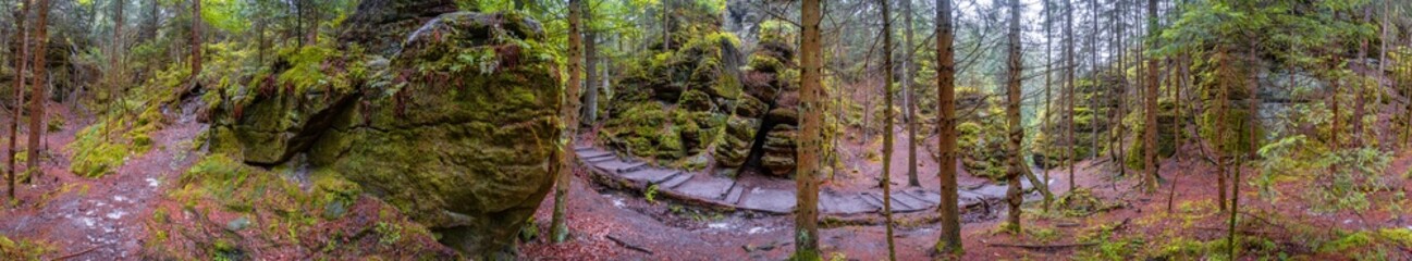 Panoramic over magical enchanted fairytale forest with fern, moss, lichen and sandstone rocks at the hiking trail Swedish Holes in the national park Saxon Switzerland near Dresden, Saxony, Germany.