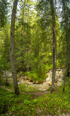 View over magical Dolomite peaks, ancient pine and spruce forests, valleys at blue sky at sunset, South Tyrol, Italy.