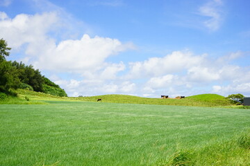 Rural View of Kohama-jima Island in Okinawa, Japan - 日本 沖縄 小浜島 街並み