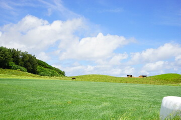 Rural View of Kohama-jima Island in Okinawa, Japan - 日本 沖縄 小浜島 街並み