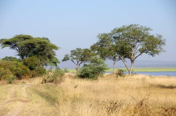 Savannah in the Katavi park in Tanzania, East Africa