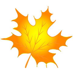 Isolated yellow autumn leaf. Depicted on a white background. Decorative vector illustration.