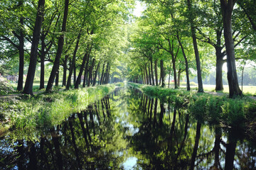 Trees line a typical Dutch canal scene in Griendtsveen, the Netherlands.