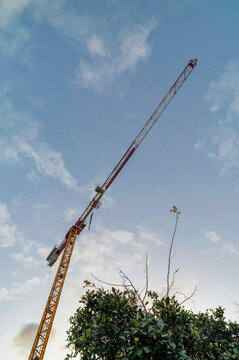 Construction crane against blue sky next to green trees in Sydney, Australia
