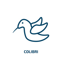 colibri icon from animals collection. Thin linear colibri, logotype, bird outline icon isolated on white background. Line vector colibri sign, symbol for web and mobile