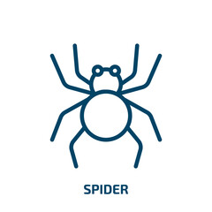 spider icon from animals collection. Thin linear spider, bug, insect outline icon isolated on white background. Line vector spider sign, symbol for web and mobile