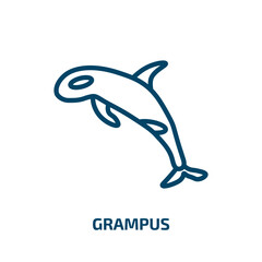 grampus icon from animals collection. Thin linear grampus, ocean, animal outline icon isolated on white background. Line vector grampus sign, symbol for web and mobile
