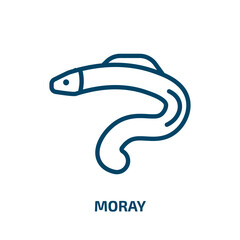 moray icon from animals collection. Thin linear moray, marine, sea outline icon isolated on white background. Line vector moray sign, symbol for web and mobile