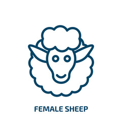 female sheep icon from animals collection. Thin linear female sheep, sheep, female outline icon isolated on white background. Line vector female sheep sign, symbol for web and mobile