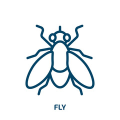 fly icon from animals collection. Thin linear fly, flight, transport outline icon isolated on white background. Line vector fly sign, symbol for web and mobile