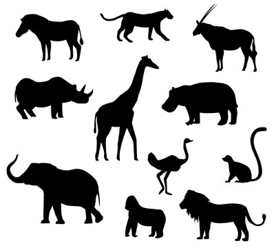African animals silhouettes set isolated on white background