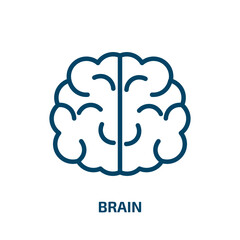 brain icon from artificial intellegence and future technology collection. Thin linear brain, human, idea outline icon isolated on white background. Line vector brain sign, symbol for web and mobile
