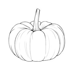 Citrouille noir et blanc