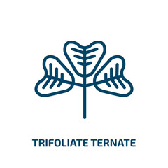 trifoliate ternate icon from nature collection. Thin linear trifoliate ternate, nature, obovate outline icon isolated on white background. Line vector trifoliate ternate sign, symbol for web and