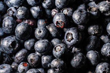 blueberries close up water drops