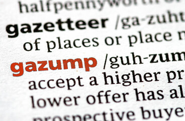 definition of the word gazump