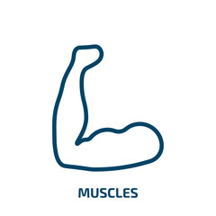 muscles icon from gym and fitness collection. Thin linear muscles, fitness, gym outline icon isolated on white background. Line vector muscles sign, symbol for web and mobile