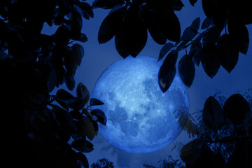 NASA moon and blue lake river