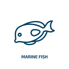marine fish icon from culture collection. Thin linear marine fish, water, marine outline icon isolated on white background. Line vector marine fish sign, symbol for web and mobile