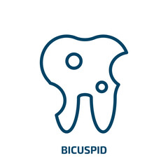 bicuspid icon from dentist collection. Thin linear bicuspid, medical, health outline icon isolated on white background. Line vector bicuspid sign, symbol for web and mobile