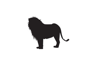 lion illustration
