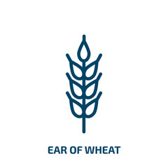 ear of wheat icon from food collection. Thin linear ear of wheat, grain, natural outline icon isolated on white background. Line vector ear of wheat sign, symbol for web and mobile