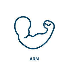 arm icon from medical collection. Thin linear arm, hand, business outline icon isolated on white background. Line vector arm sign, symbol for web and mobile