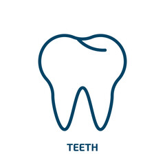 teeth icon from medical collection. Thin linear teeth, human, medicine outline icon isolated on white background. Line vector teeth sign, symbol for web and mobile