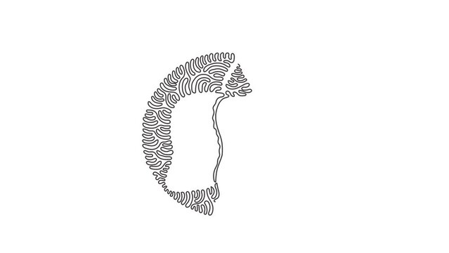 Animated self drawing of continuous line draw healthy organic mangoes for logo identity. Fresh tropical fruitage concept for fruit icon. Swirl curl circle style. Full length single line animation.